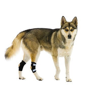 NeoAlly Rear Leg Hock Brace - Metal Spring Strips for Small Dogs [Short Version] (Pair) - Pristine Pet Supply