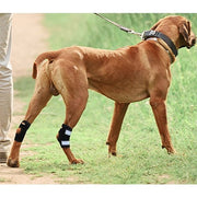 NeoAlly Rear Leg Hock Brace - Metal Spring Strips for Small Dogs [Short Version] (Pair) - Pristine Pet Supply