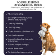 Oncotect Essential At-Home Dog Cancer Screening