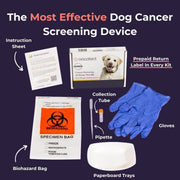 Oncotect Essential At-Home Dog Cancer Screening