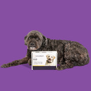Oncotect Essential At-Home Dog Cancer Screening