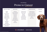 Oncotect Essential At-Home Dog Cancer Screening