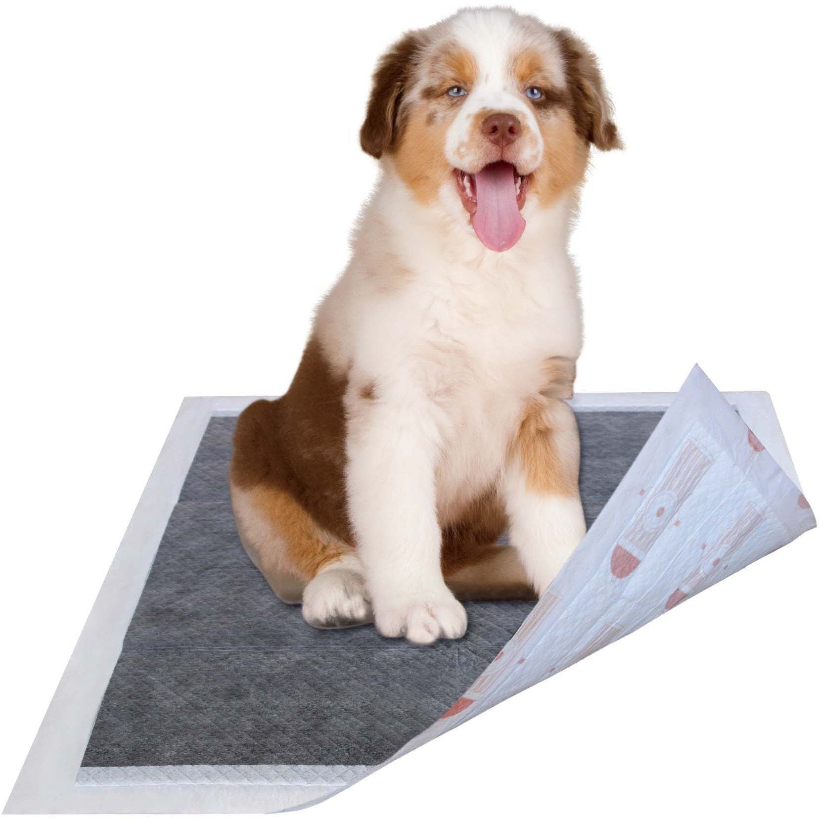 Pet Life 55 Grams Ultra Absorbent Charcoal Odor Eliminating Premium Dog Training Pads