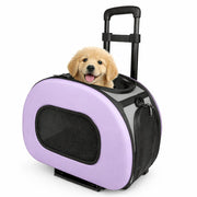 Pet Life 'Final Destination' Airline Approved 2-in-1 Tough-Shell Wheeled Collapsible Travel Fashion Pet Dog Carrier Crate