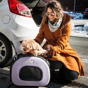 Pet Life 'Final Destination' Airline Approved 2-in-1 Tough-Shell Wheeled Collapsible Travel Fashion Pet Dog Carrier Crate