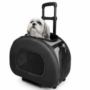 Pet Life 'Final Destination' Airline Approved 2-in-1 Tough-Shell Wheeled Collapsible Travel Fashion Pet Dog Carrier Crate