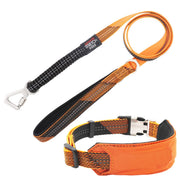 Pet Life 'Geo-prene' 2-in-1 Shock Absorbing Neoprene Padded Reflective Dog Leash and Collar