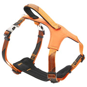 Pet Life 'Geo-prene' 2-in-1 Shock Absorbing Neoprene Padded Reflective Dog Leash and Harness