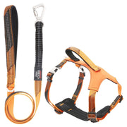 Pet Life 'Geo-prene' 2-in-1 Shock Absorbing Neoprene Padded Reflective Dog Leash and Harness