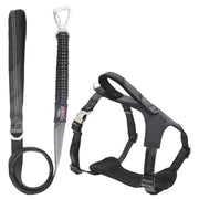 Pet Life 'Geo-prene' 2-in-1 Shock Absorbing Neoprene Padded Reflective Dog Leash and Harness