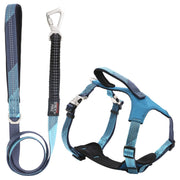 Pet Life 'Geo-prene' 2-in-1 Shock Absorbing Neoprene Padded Reflective Dog Leash and Harness