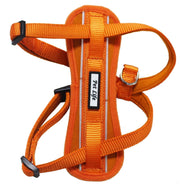 Pet Life 'Mountaineer' Chest Compressive Adjustable and Reflective Easy Pull Pet Dog Harness