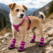 Pet Life 'Performance-Coned' Premium Stretch High Ankle Support Dog Shoes - Set Of 4