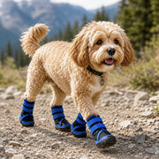 Pet Life 'Performance-Coned' Premium Stretch High Ankle Support Dog Shoes - Set Of 4