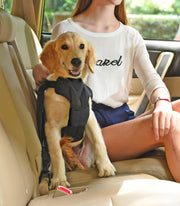 Pet Life 'Road-To-Safety' Pet Dog Car Seat Harness Securer with Detachable Swivel Hook