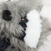 Redwood Raccoon X-Brace® Plush Dog Toy