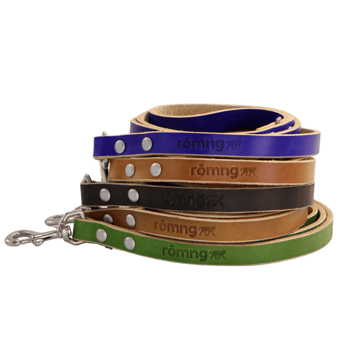 rōmng Handmade Leather Dog Leash