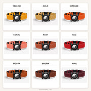 Rugged Waterproof AirTag Dog Collar with Holder