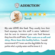 Salmon Bleu Dry Cat Food