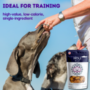 Wild Caught Salmon Dog Treats - Pristine Pet Supply