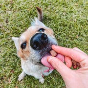 Elk & Venison Dog Treats - Pristine Pet Supply