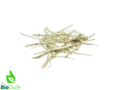 The Bio Dude Reptile Decor – Colombian Sugarcane Bagasse Mulch