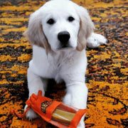 Yak9 Chews Turmeric Yak Milk Chews for Dogs