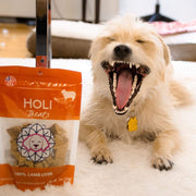 Lamb Liver Dog Treats - Freeze Dried - Single Ingredient - Pristine Pet Supply