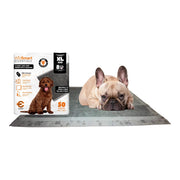 WizSmart Essentials Pads with Charcoal, XL, 50 Count