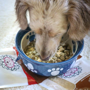 Beef Liver Dog Food Topper - Freeze Dried - Single Ingredient - Pristine Pet Supply
